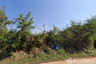 Land for sale in Koeng, Maha Sarakham