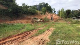 Land for sale in Mae Ka, Phayao