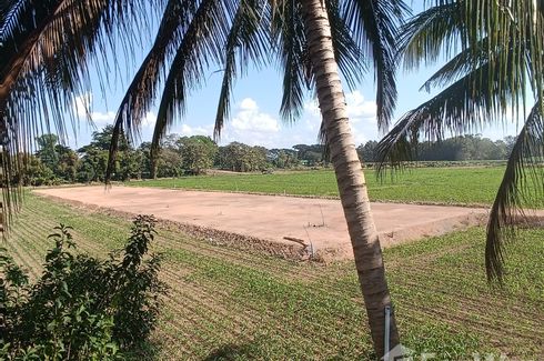 Land for sale in Pa O Don Chai, Chiang Rai