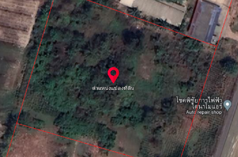 Land for sale in Khao Niphan, Surat Thani