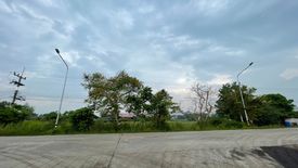 Land for sale in Nong Irun, Chonburi