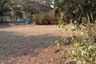 Land for sale in Sap Yai, Chaiyaphum