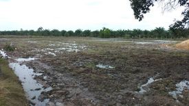 Land for sale in Kaeng Dom, Ubon Ratchathani