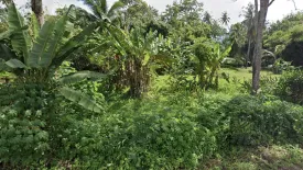 Land for sale in Ao Nang, Krabi