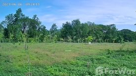 Land for sale in Samo Khon, Tak