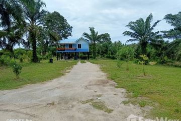 Land for sale in Khanom, Nakhon Si Thammarat