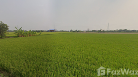 Land for sale in Bang Len, Nakhon Pathom