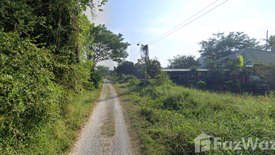 Land for sale in Nakhon Pathom, Nakhon Pathom