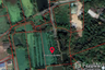 Land for sale in Nakhon Pathom, Nakhon Pathom