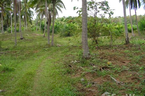 Land for sale in Ang Thong, Prachuap Khiri Khan