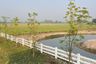 Land for sale in Bang Khwan, Chachoengsao