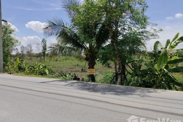 Land for sale in Bang Krasan, Phra Nakhon Si Ayutthaya