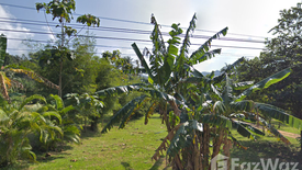 Land for sale in Ban Tai, Surat Thani