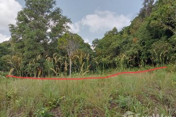 Land for sale in Ko Pha-ngan, Surat Thani