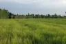 Land for sale in Na Khai, Ubon Ratchathani