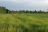 Land for sale in Na Khai, Ubon Ratchathani