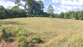 Land for sale in Na Prang, Phayao