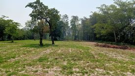 Land for sale in Sawai, Sisaket