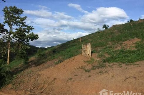 Land for sale in Wiang Nuea, Mae Hong Son