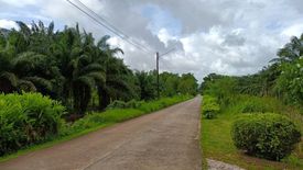 Land for sale in Khamong, Chanthaburi