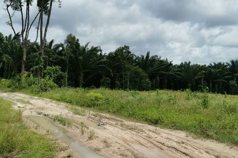 Land for sale in Phela, Krabi