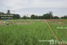 Land for sale in Ban Na, Nakhon Nayok