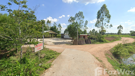 Land for sale in Nong Don, Chaiyaphum