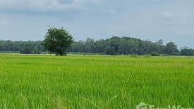 Land for sale in Phrom Phiram, Phitsanulok