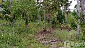 Land for sale in Ko Pha-ngan, Surat Thani