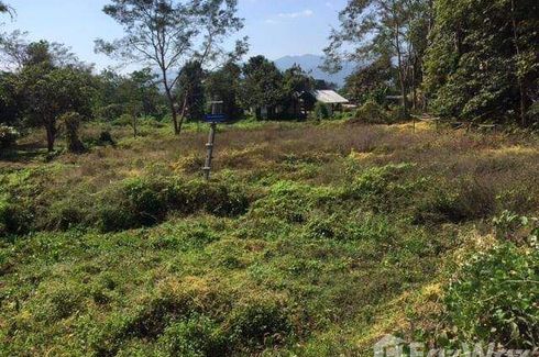 Land for sale in Mae Hi, Mae Hong Son