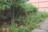 Land for sale in Na Pa, Chonburi