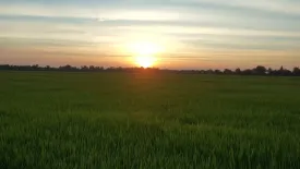 Land for sale in Bang Khanak, Chachoengsao