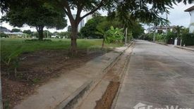 Land for sale in Phe, Rayong