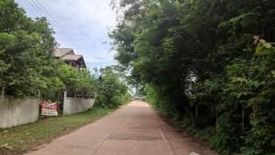 Land for sale in Si Songkhram, Nakhon Phanom