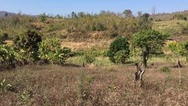 Land for sale in Wiang Nuea, Mae Hong Son