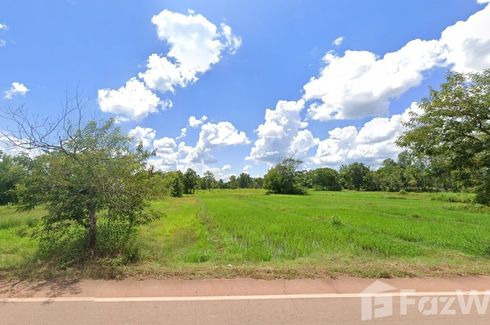 Land for sale in Chiang Sue, Sakon Nakhon