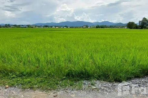 Land for sale in Thuem Tong, Nan