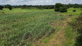 Land for sale in Khok Salung, Lopburi