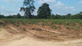 Land for sale in Khok Chang, Nong Khai