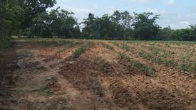 Land for sale in Khok Chang, Nong Khai