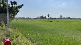 Land for sale in Sam Chuk, Suphan Buri