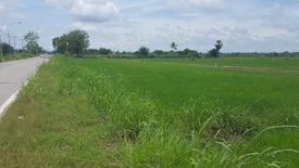 Land for sale in Kao Liao, Nakhon Sawan