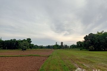 Land for sale in Sawai, Sisaket