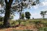 Land for sale in Sakae Rap, Lopburi
