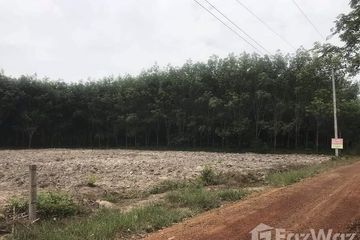 Land for sale in Tha Uthen, Nakhon Phanom