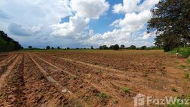 Land for sale in Bueng O, Nakhon Ratchasima