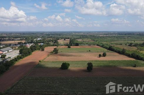 Land for sale in Bueng O, Nakhon Ratchasima