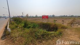 Land for sale in Mae Khao Tom, Chiang Rai