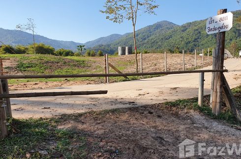 Land for sale in Nang Lae, Chiang Rai