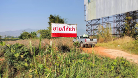 Land for sale in Nang Lae, Chiang Rai